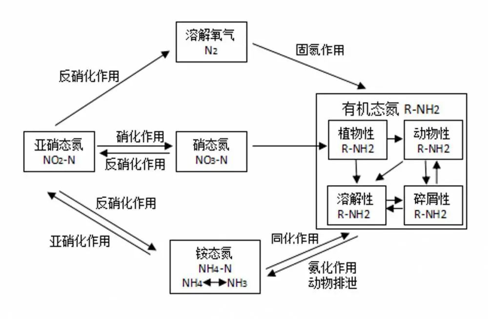 氨氮.jpg